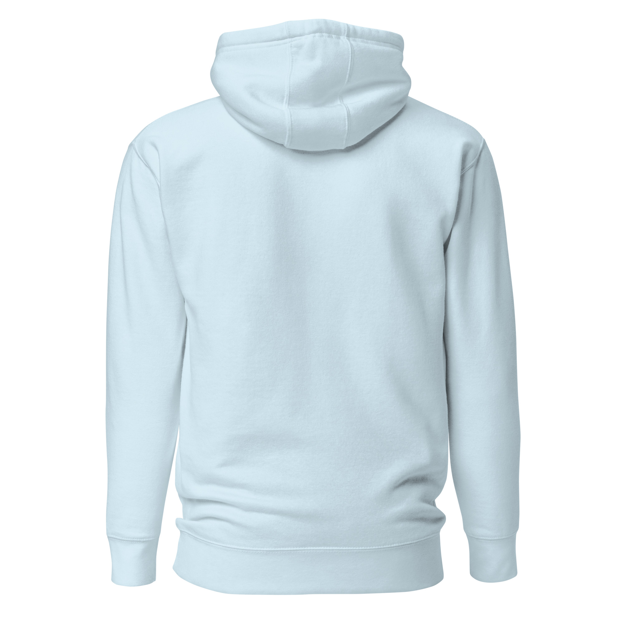 unisex-premium-hoodie-sky-blue-back-6634e7d64ec46.jpg